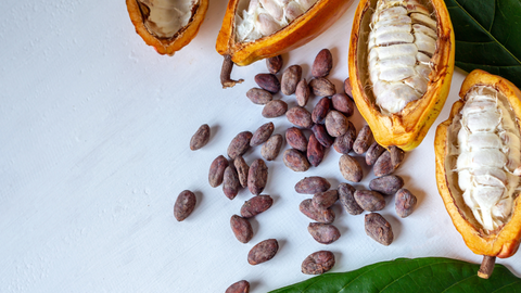 Cacao in Australia