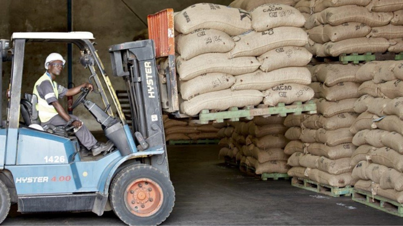 Cacao transport