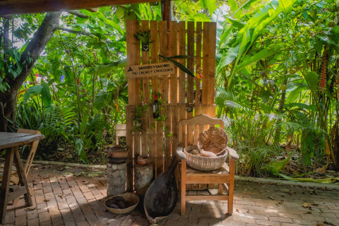 Estelita’s Table: Where Cocoa, Culture, and Regenerative Farming Meet