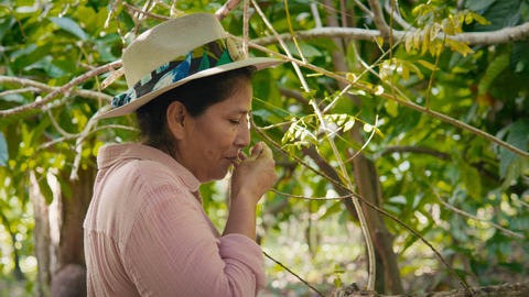 Regenerating Land, Culture and cocoa at Hacienda de la campesina