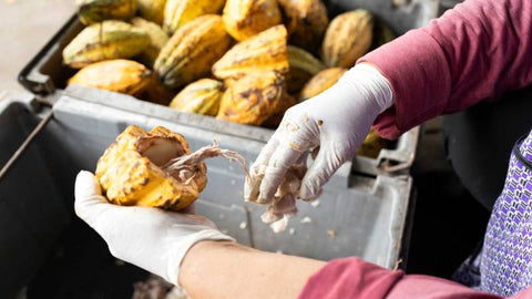 Final results Inspirations and guide