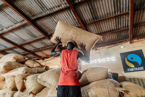 Which Country Produces The Most Cacao?
