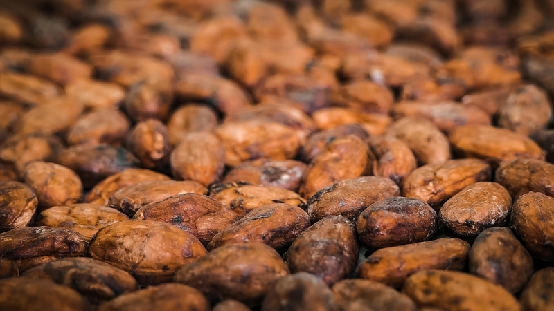 Roasting Cocoa Beans