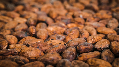 Roasting Cocoa Beans