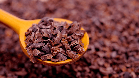 What Are Cacao Nibs?