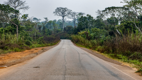 cocoa-production-cameroon