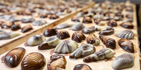 Cacao in Belgium