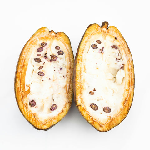 Exploring the Cacao Fruit