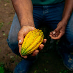 meet the farmers