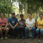 Back to Her Roots: How Alma Is Redefining Cocoa Farming 5