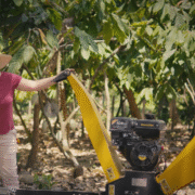 Composting and Renewal: A Micro-Project at Finca Las Delias 6
