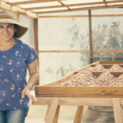 From Banker to Biodiversity Champion: Hacienda Rc's Cocoa Story 6