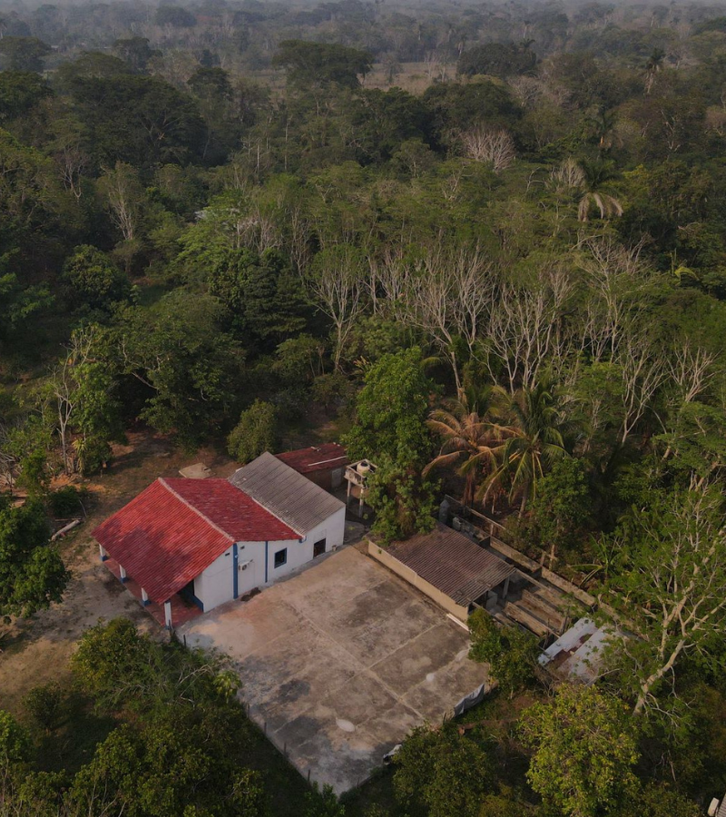 From Banker to Biodiversity Champion: Hacienda Rc's Cocoa Story 4