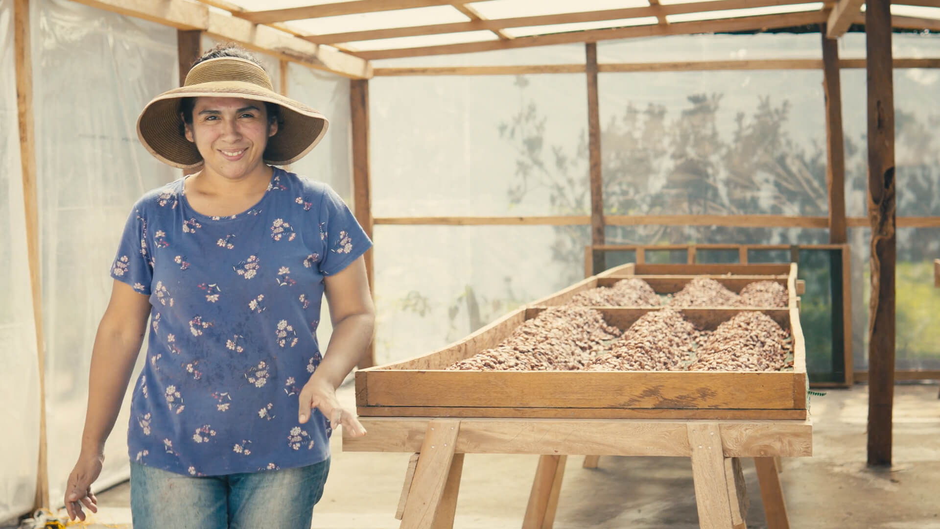 From Banker to Biodiversity Champion: Hacienda Rc's Cocoa Story 2