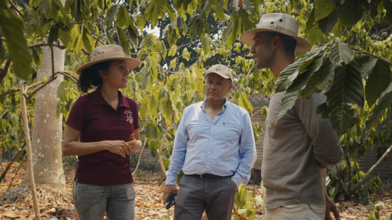 Guardians of Cocoa: Protecting the Rainforest at Finca Cacayo 12