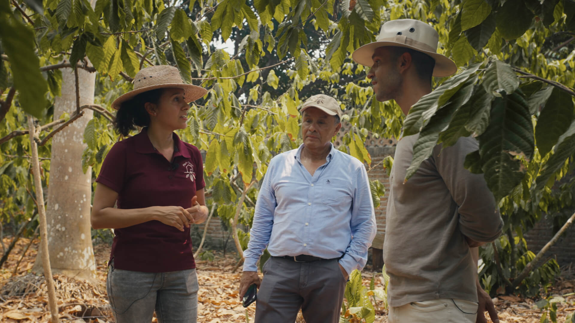 Guardians of Cocoa: Protecting the Rainforest at Finca Cacayo 2