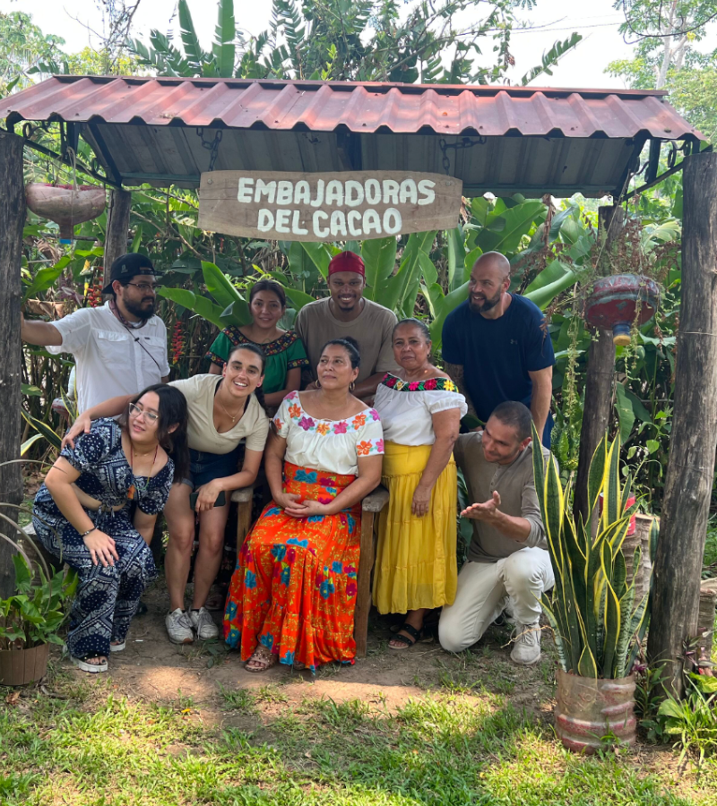 Cacao Bean Processing: From Bean to Chocolate 11