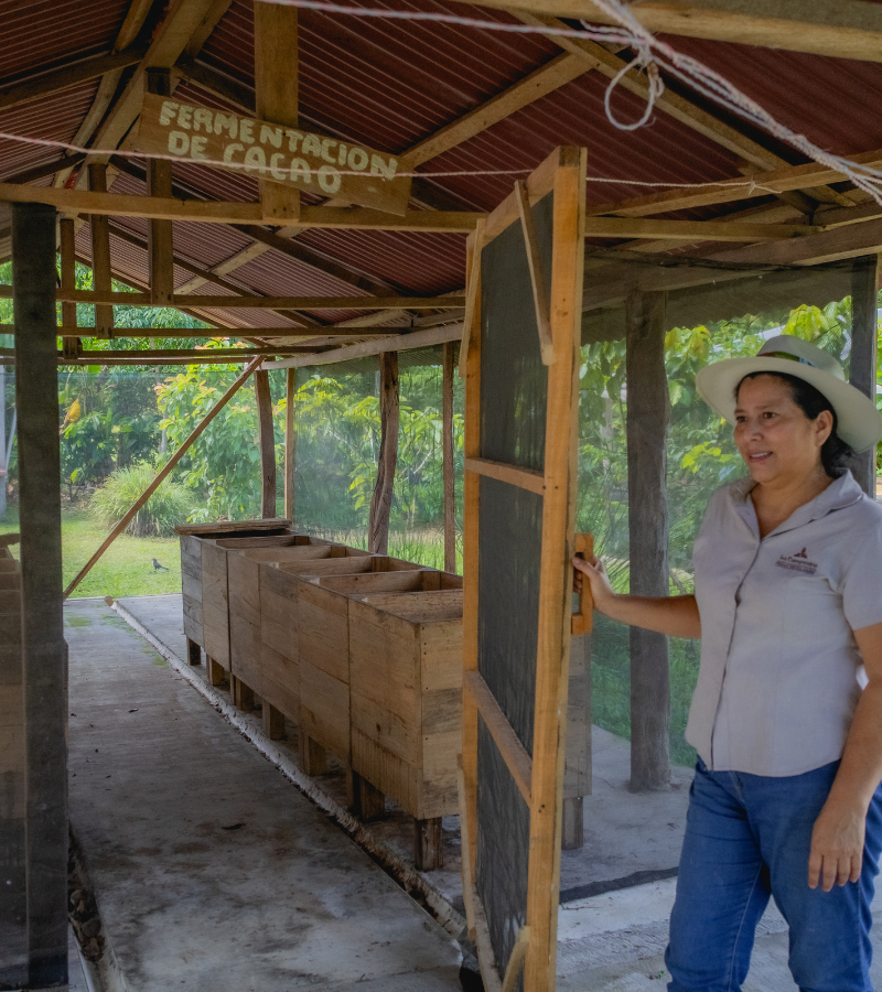 What We Learned at La Campesina del Cacao: Lessons from a Mexican Cocoa Farmer 4 What We Learned at La Campesina del Cacao: Lessons from a Mexican Cocoa Farmer 4