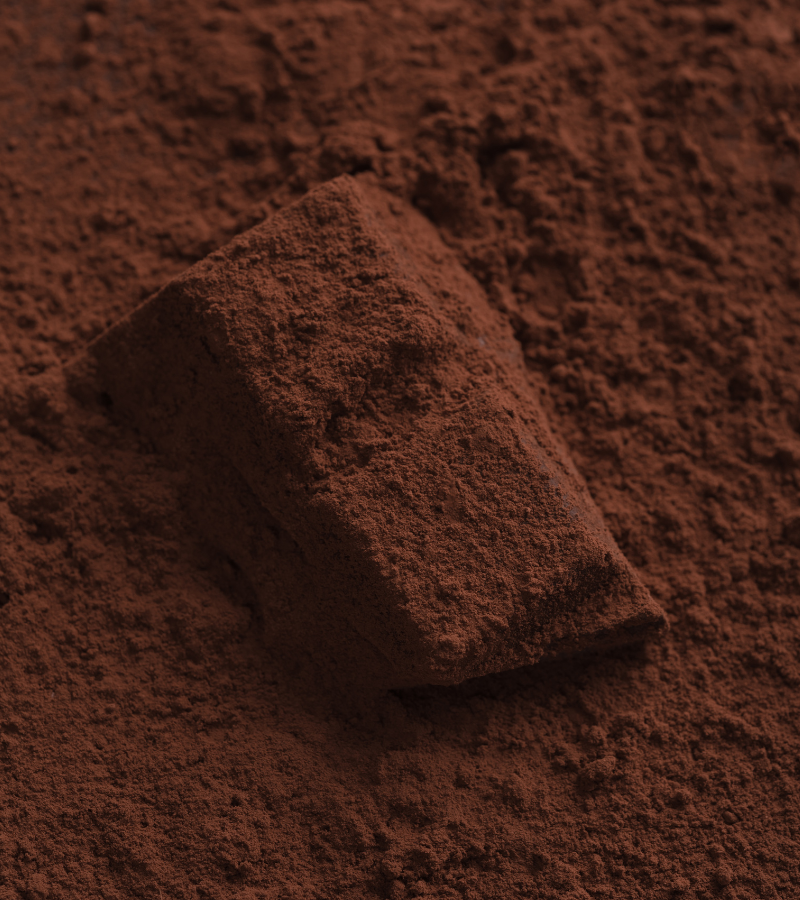 What Are Cacao Beans? Everything You Need to Know 4