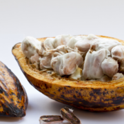 What Are Cacao Beans? Everything You Need to Know 6